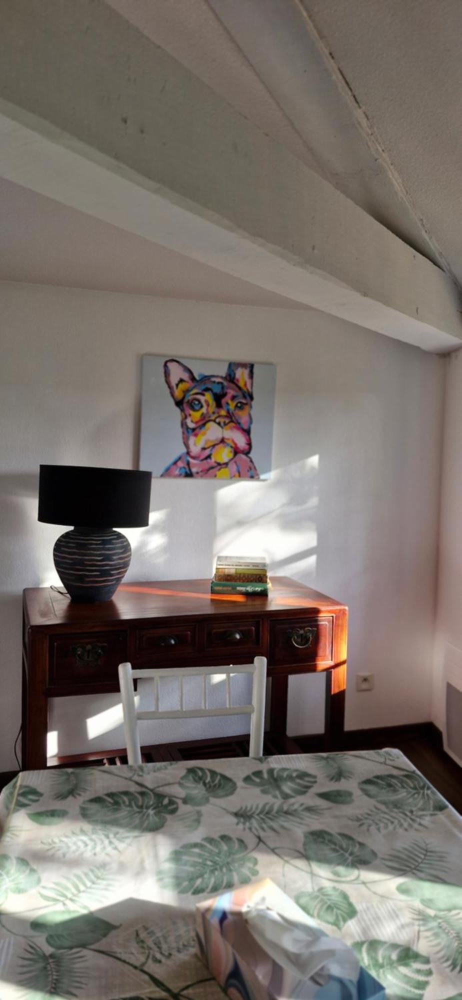 Apartament La Robine Narbona Zewnętrze zdjęcie